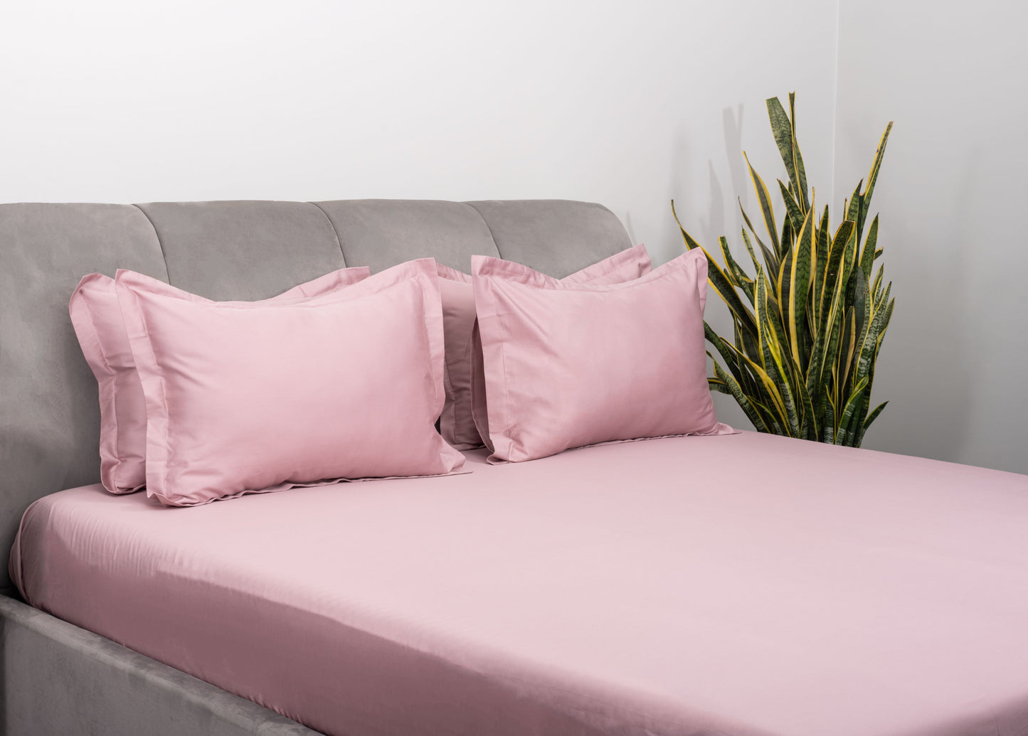 BLUSH BEDSHEET SET