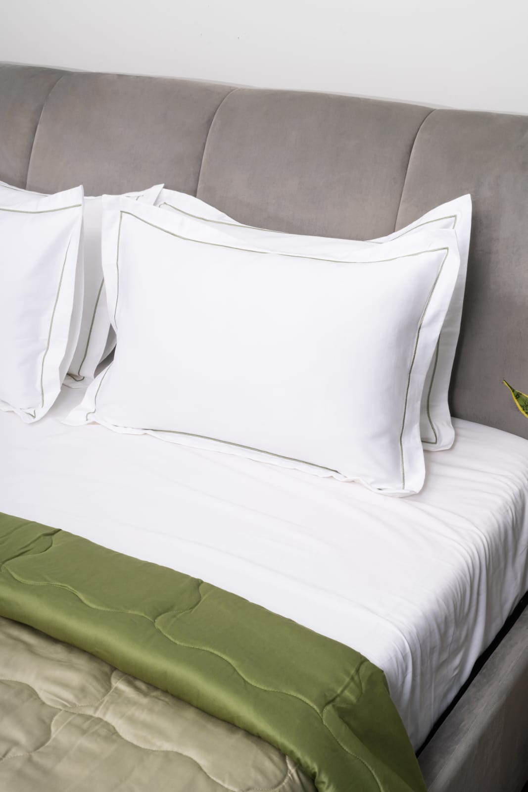 WHITE WITH SAGE GREEN EMBROIDERY BEDSHEET SET